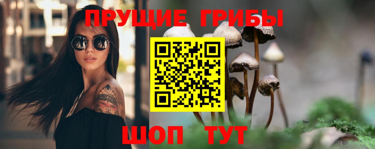 Галлюциногенные грибы Psilocybine cubensis  Вход с VPN  Еманжелинск 